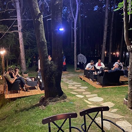 Hotel Gloria Ks Πρίστινα Εξωτερικό φωτογραφία