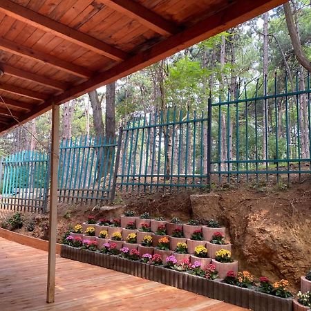 Hotel Gloria Ks Πρίστινα Εξωτερικό φωτογραφία